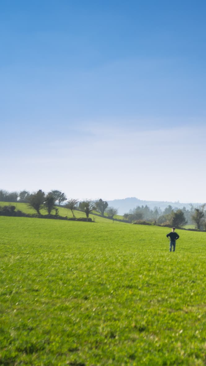 Field