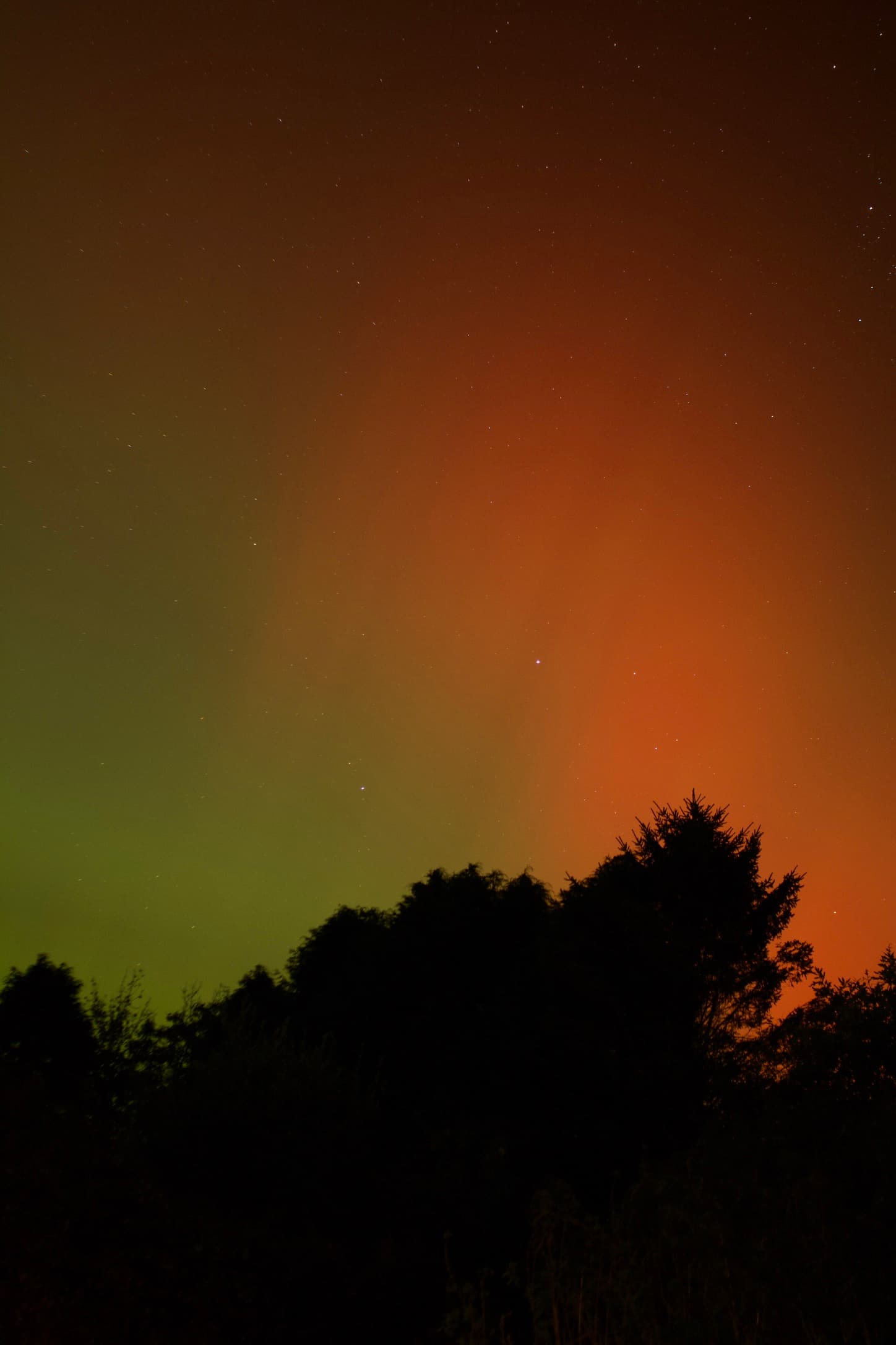 Northern Lights