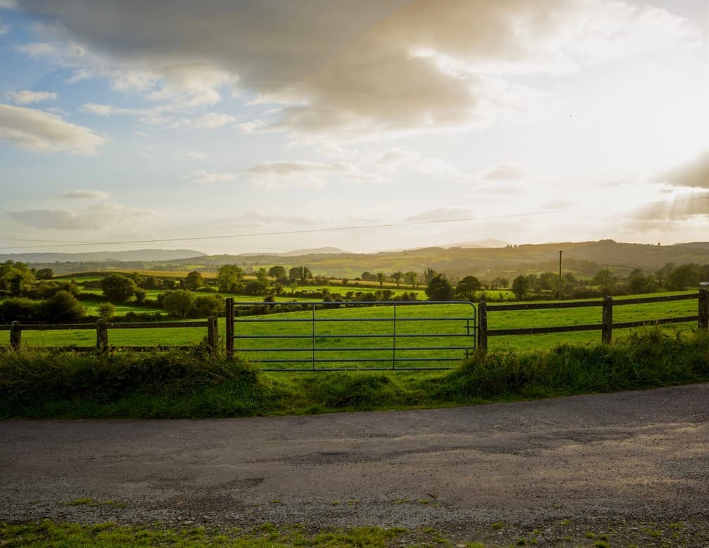 Field Gate