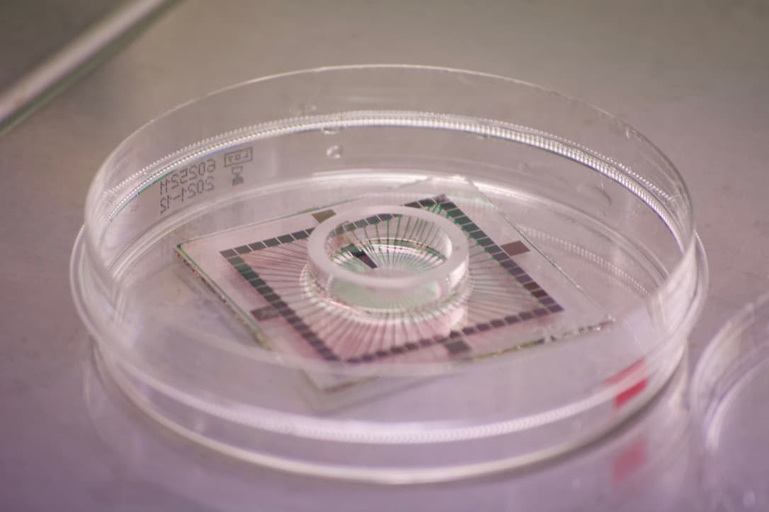Human NeuroStorage
