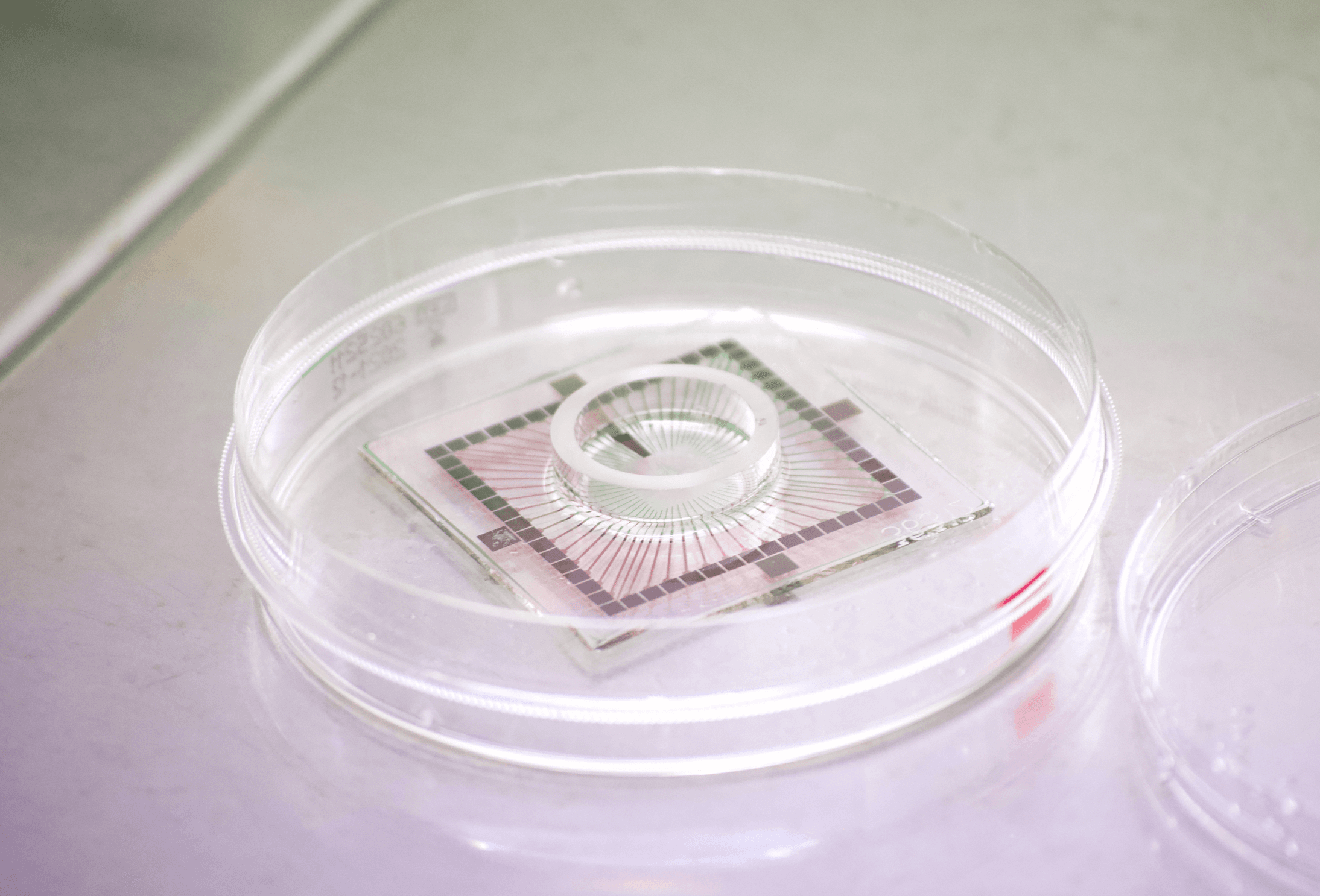 Micro-electrode Array